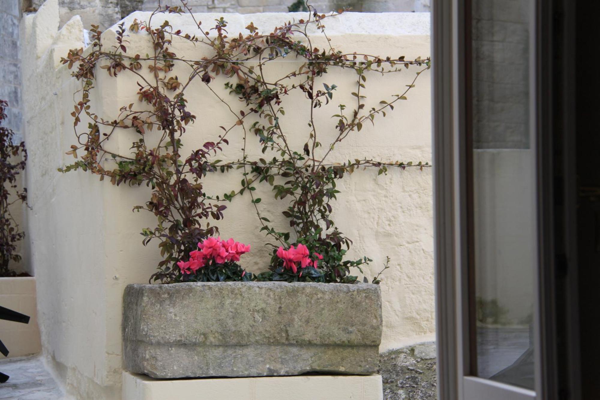 Alla Dimora Di Chiara Suite And Rooms Matera Phòng bức ảnh